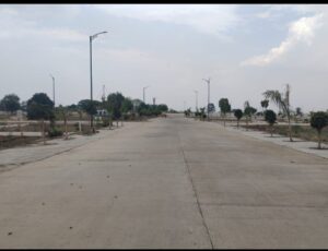 Mauli Town 21