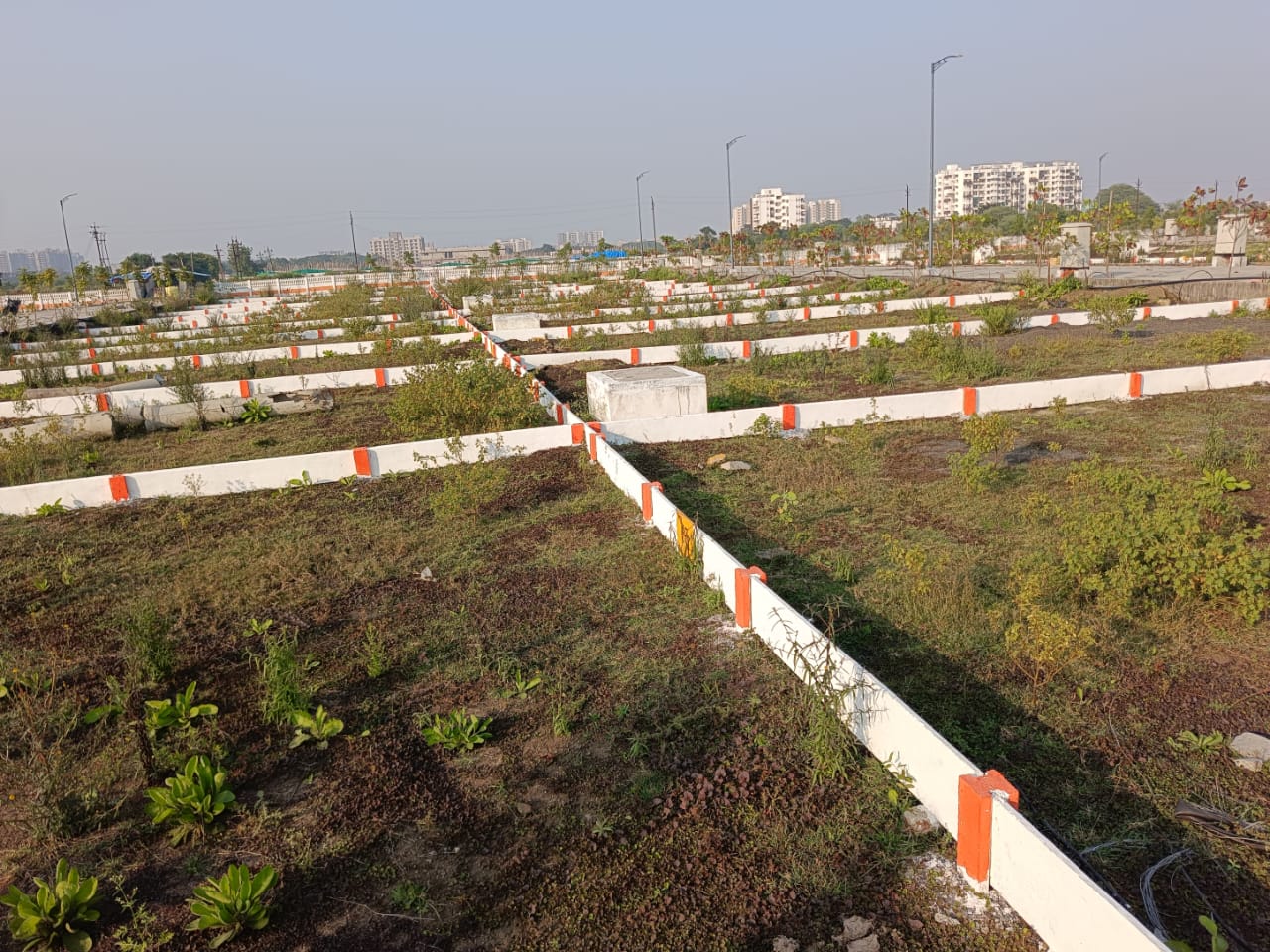 Plot under 20 lakhs in Pipla